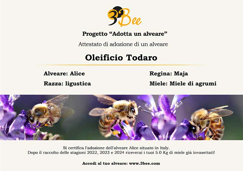 Oleificiotodaro.it Certificato