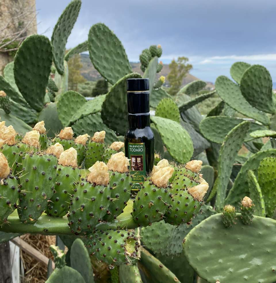 Oleificiotodaro.it