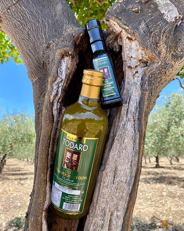 Ulivi siciliani, Oleificiotodaro.it